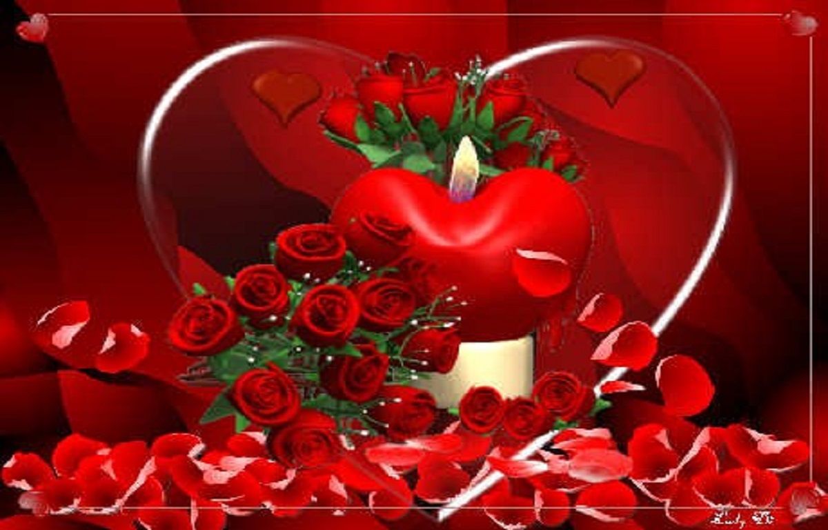 amor flores fondos de pantalla,rojo,corazón,día de san valentín,amor,planta