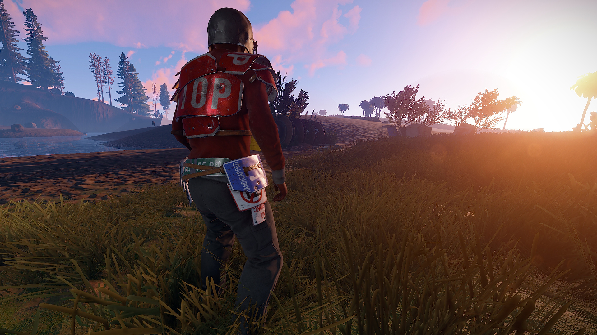 rust wallpaper,grass,screenshot,ecoregion,pc game,sunlight