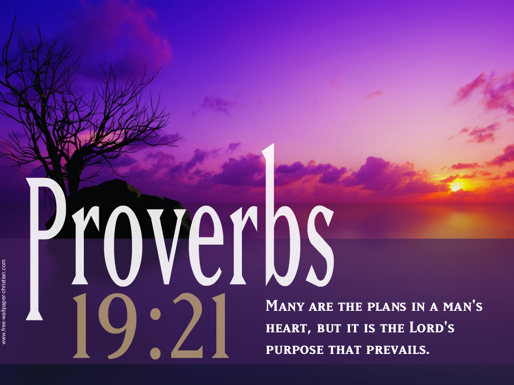 bible quotes wallpaper,sky,nature,purple,violet,text