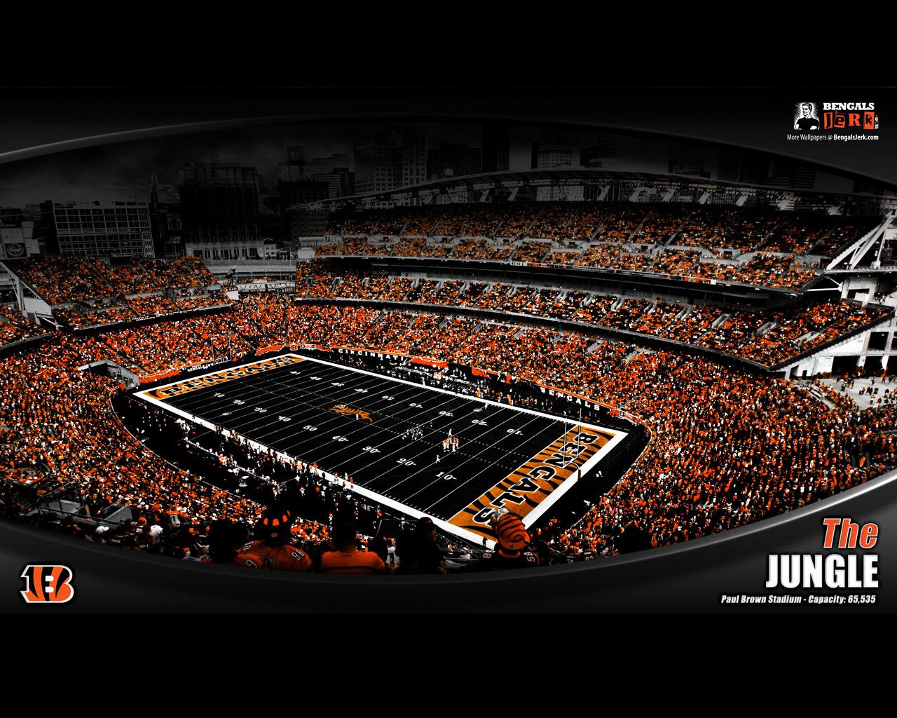 bengals wallpaper,sport venue,stadium,arena,audience,product