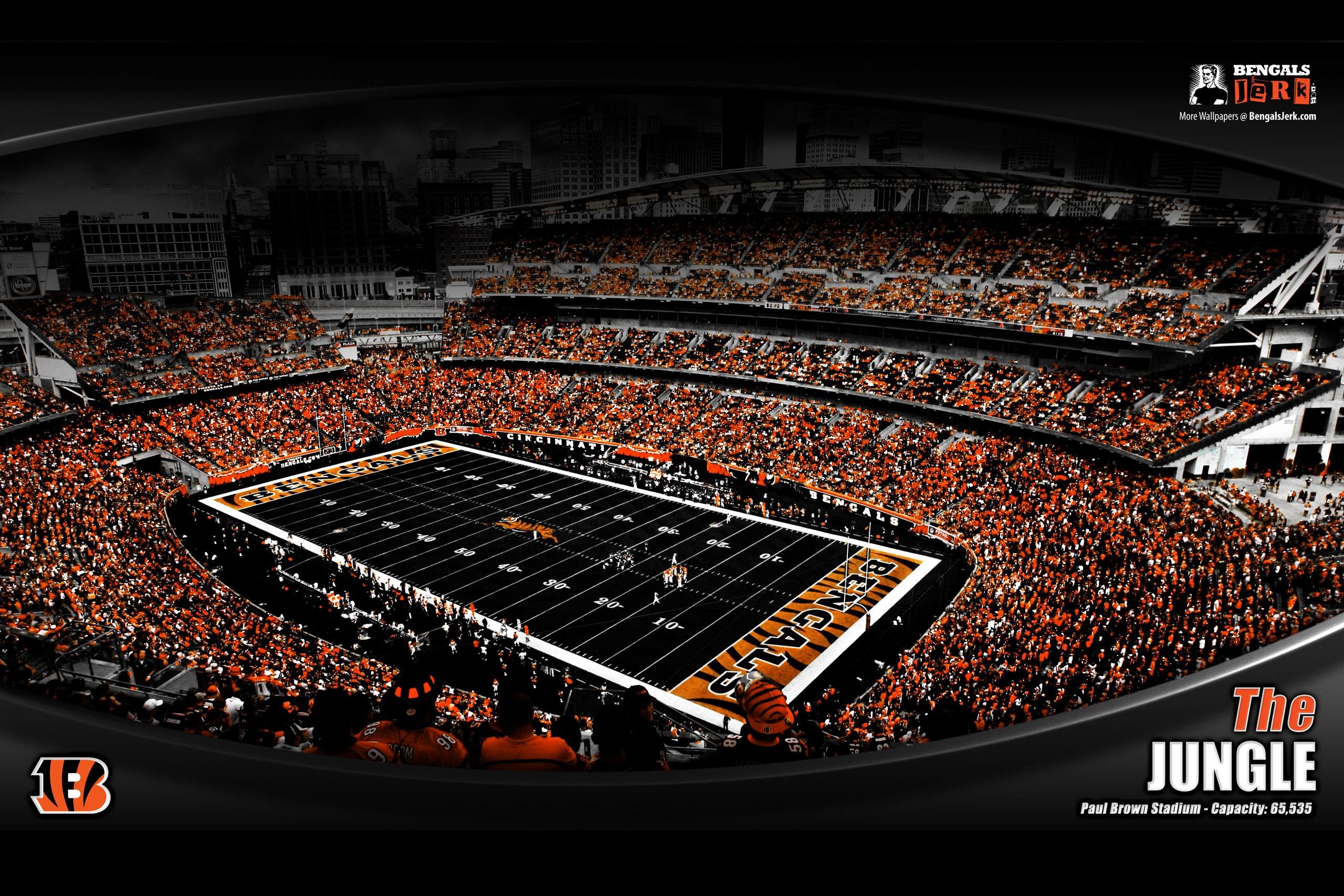 bengals wallpaper,sport venue,stadium,arena,audience,fan