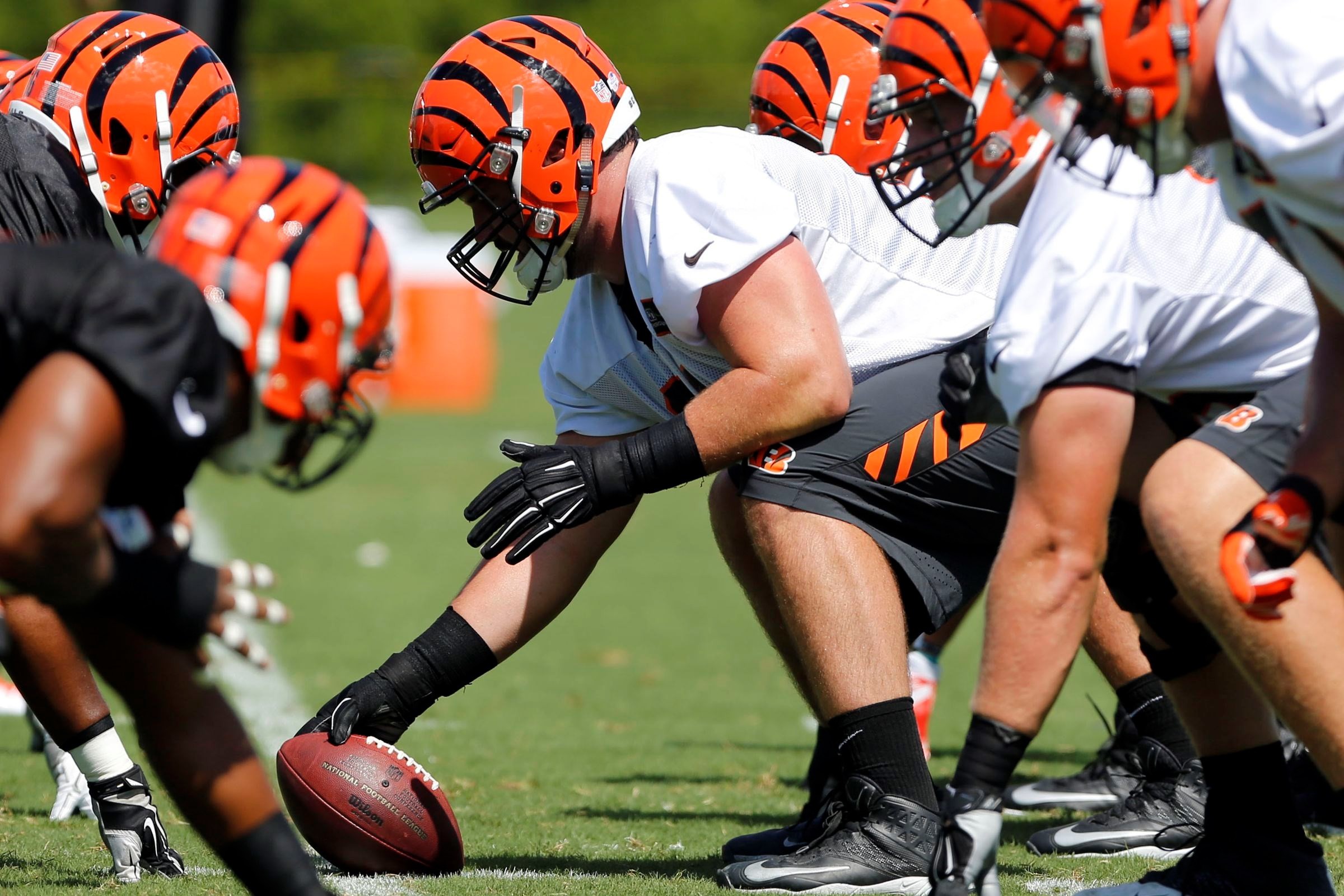 bengals tapete,spieler,sportausrüstung,sport,helm,football helm