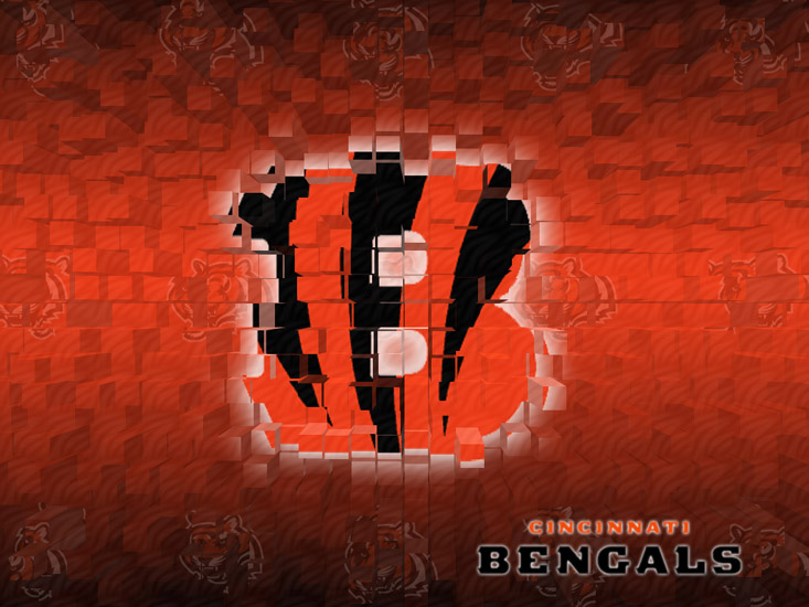 bengals wallpaper,red,text,font,graphic design,graphics