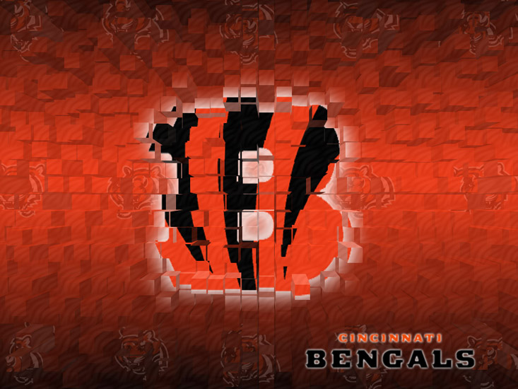 bengals tapete,rot,text,schriftart,grafikdesign,grafik