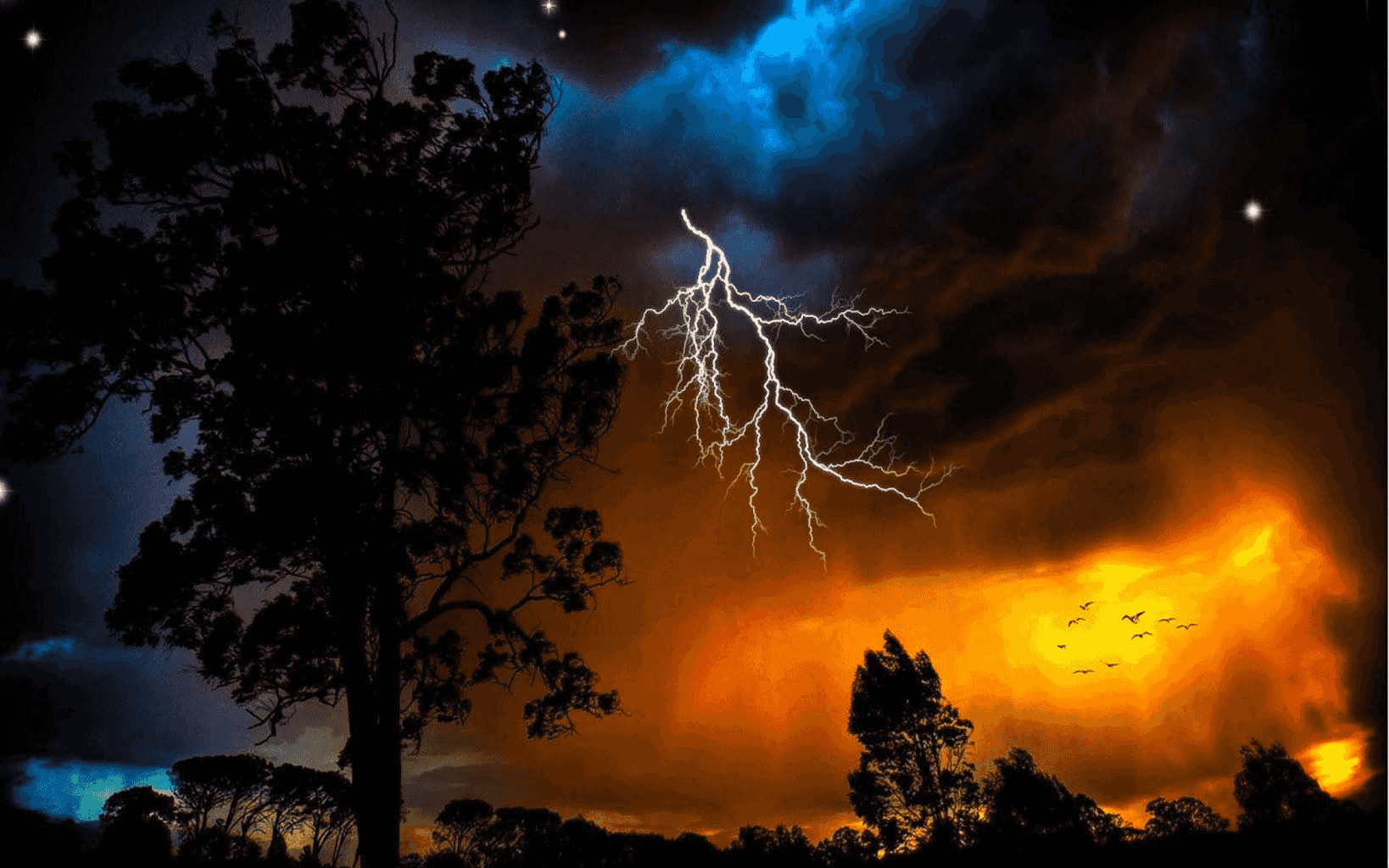 foudre fonds d'écran animés,ciel,la nature,orage,tonnerre,foudre