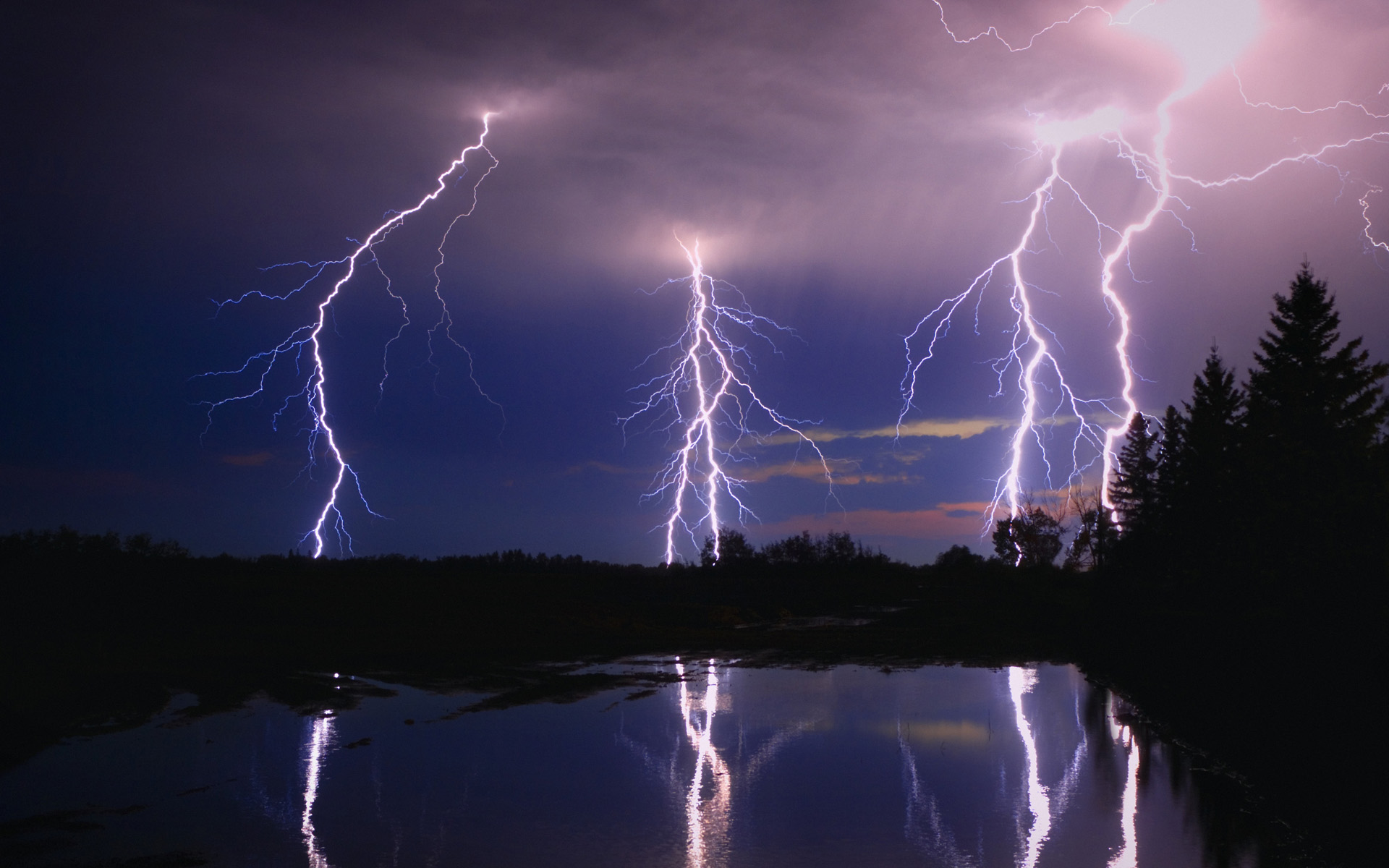 foudre fonds d'écran animés,tonnerre,orage,foudre,ciel,la nature