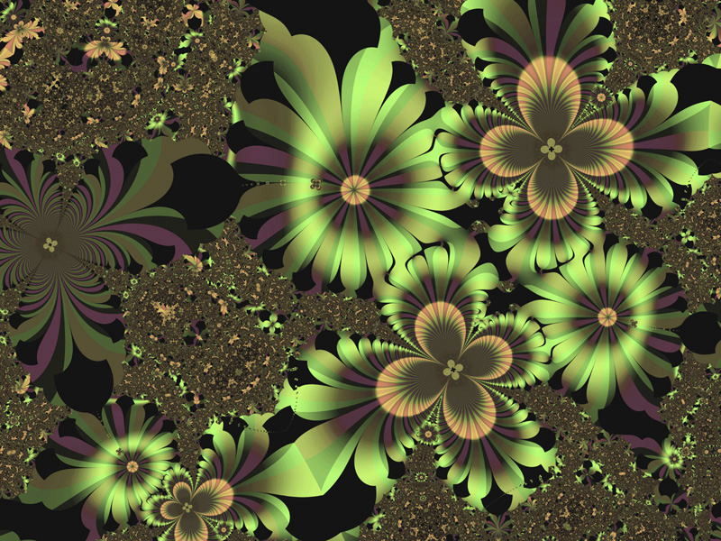 papel tapiz de flor verde,verde,flor,planta,hoja,flor silvestre