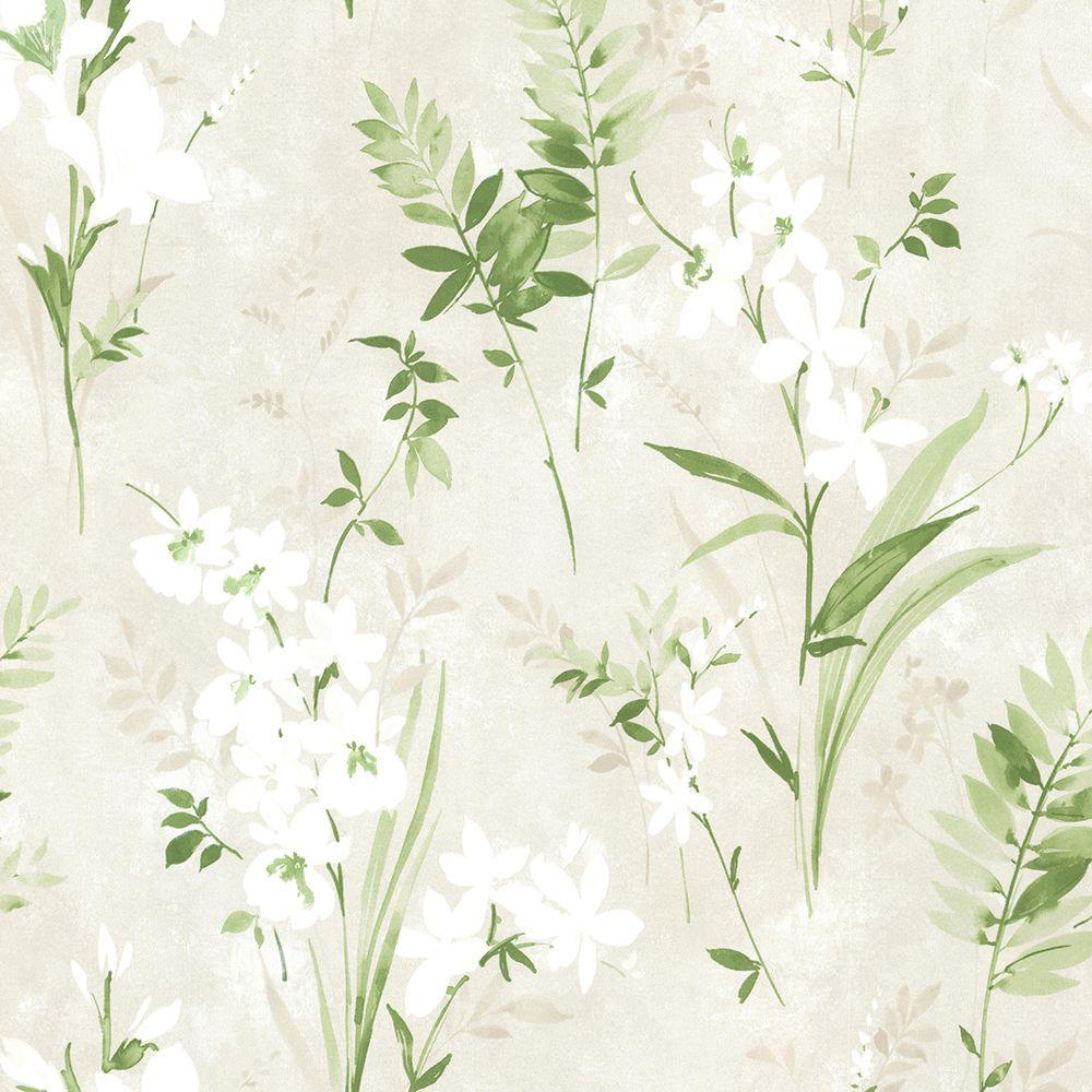 papel tapiz de flor verde,planta,flor,planta floreciendo,hoja,fondo de pantalla