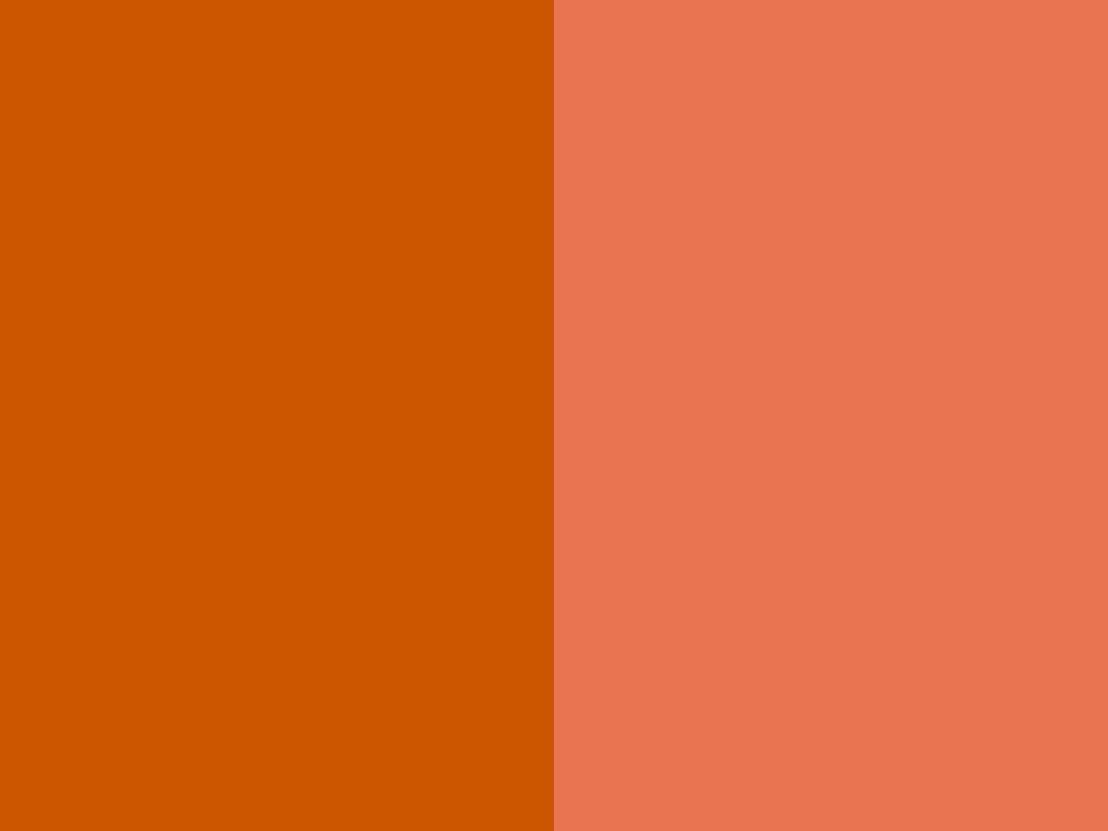 burnt orange wallpaper,orange,red,yellow,brown,peach