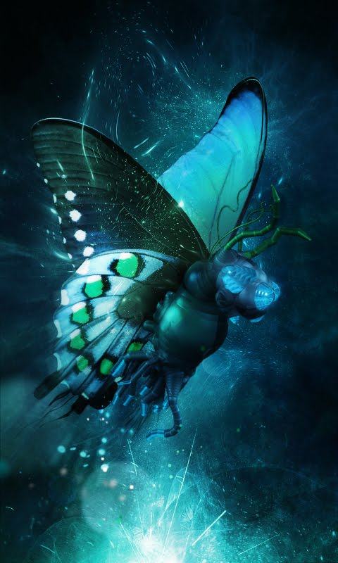 hd touch screen mobile wallpaper,blue,butterfly,aqua,turquoise,insect