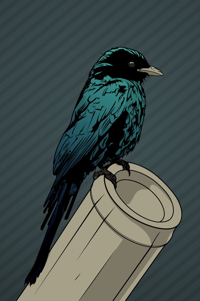 fondo de pantalla móvil hd pantalla táctil,pájaro,ilustración,pájaro posado,pluma,dibujo