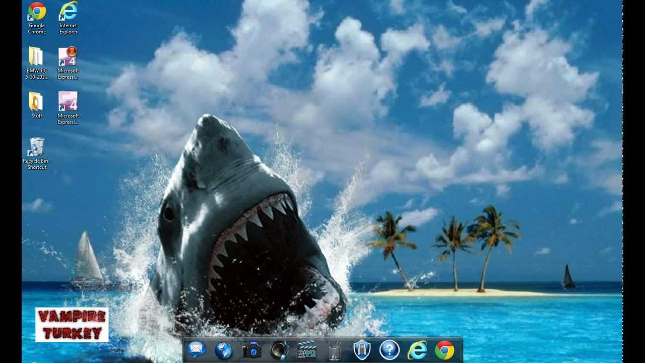 change my wallpaper,great white shark,shark,fish,cartilaginous fish,lamniformes