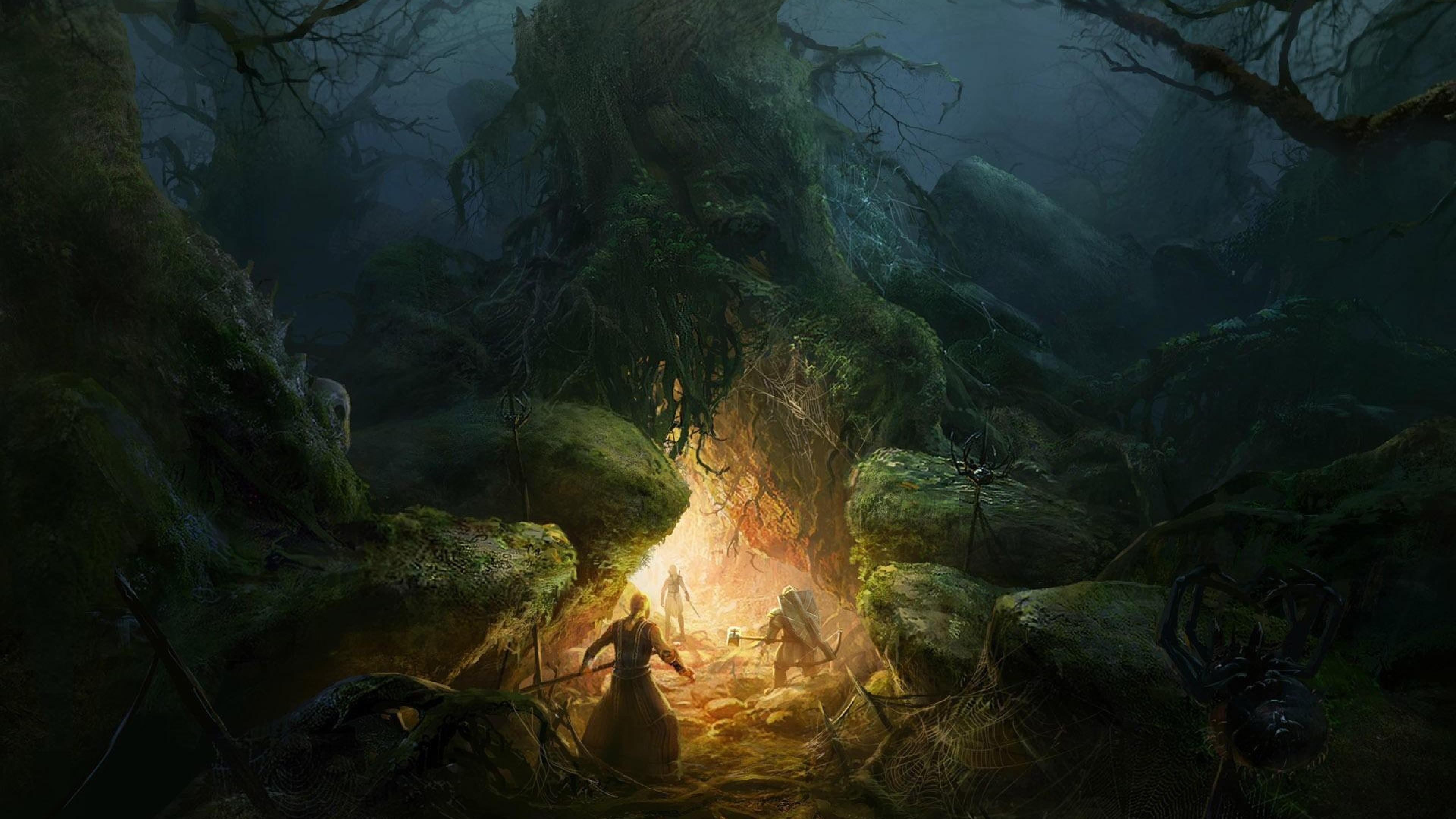 el señor de los anillos fondos de pantalla hd,naturaleza,bosque,selva,captura de pantalla,oscuridad