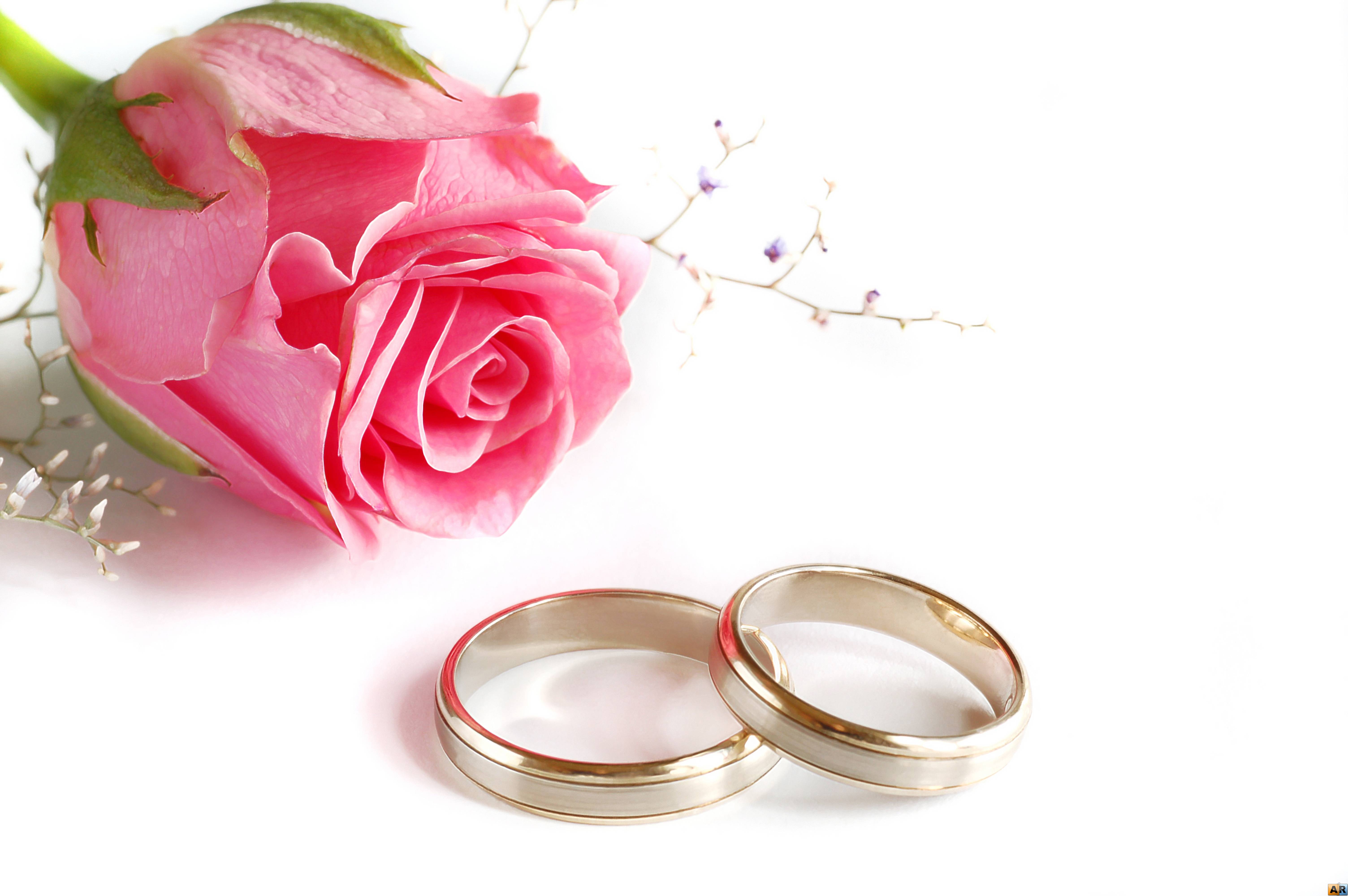 carta da parati ad anello,squillare,rosa,fornitura cerimonia di nozze,fede,anello di fidanzamento