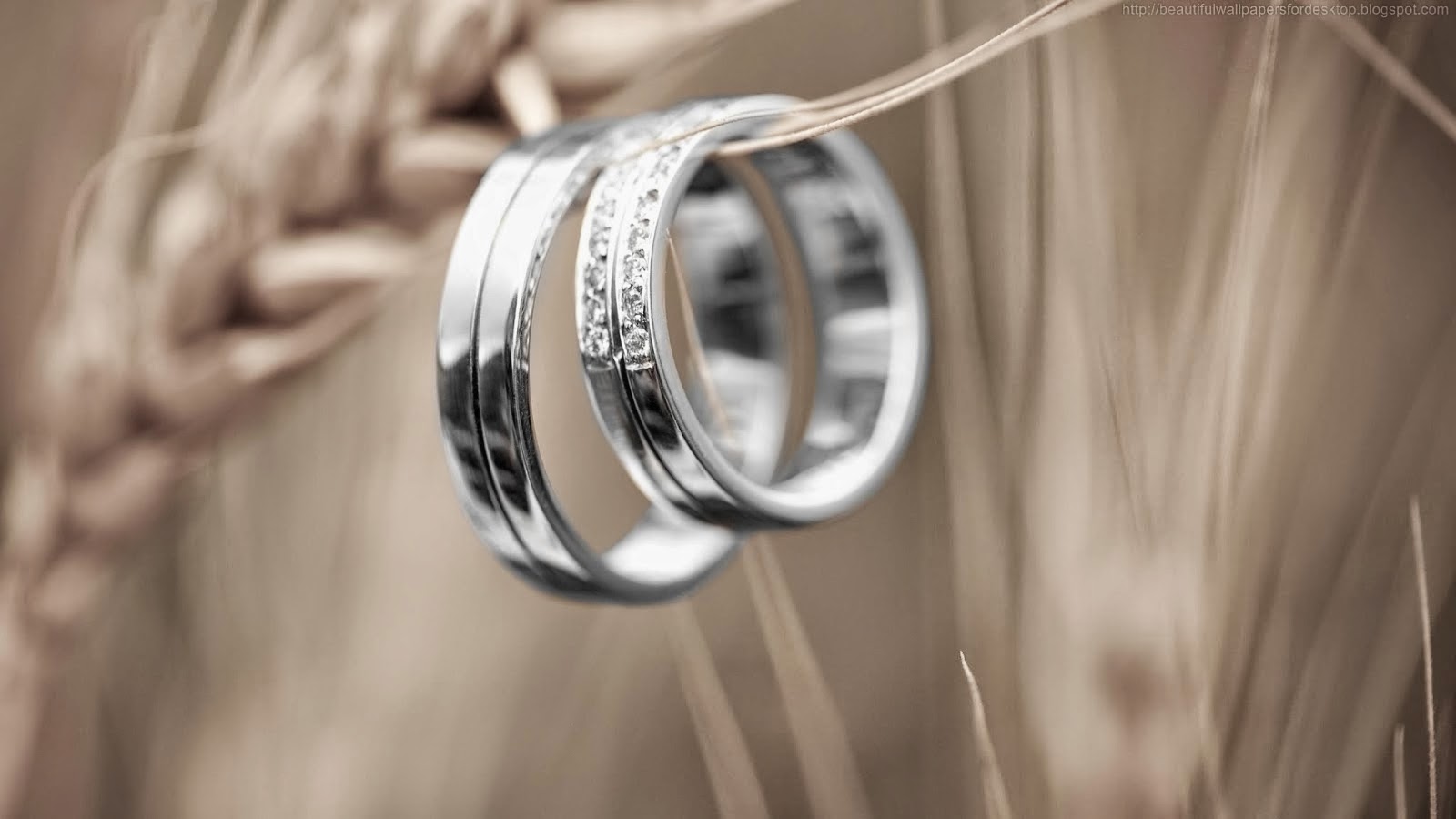 リング壁紙,リング,金属,結婚式用品,結婚指輪,婚約指輪