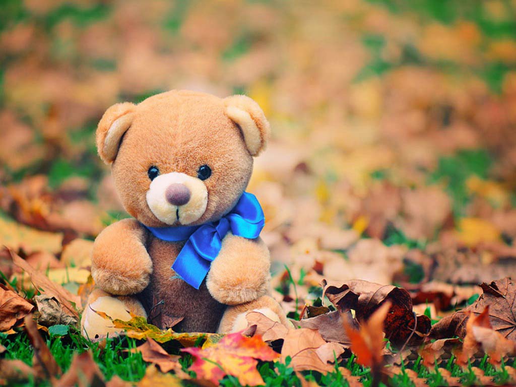 teddy bear wallpaper hd,teddy bear,toy,stuffed toy,leaf,grass