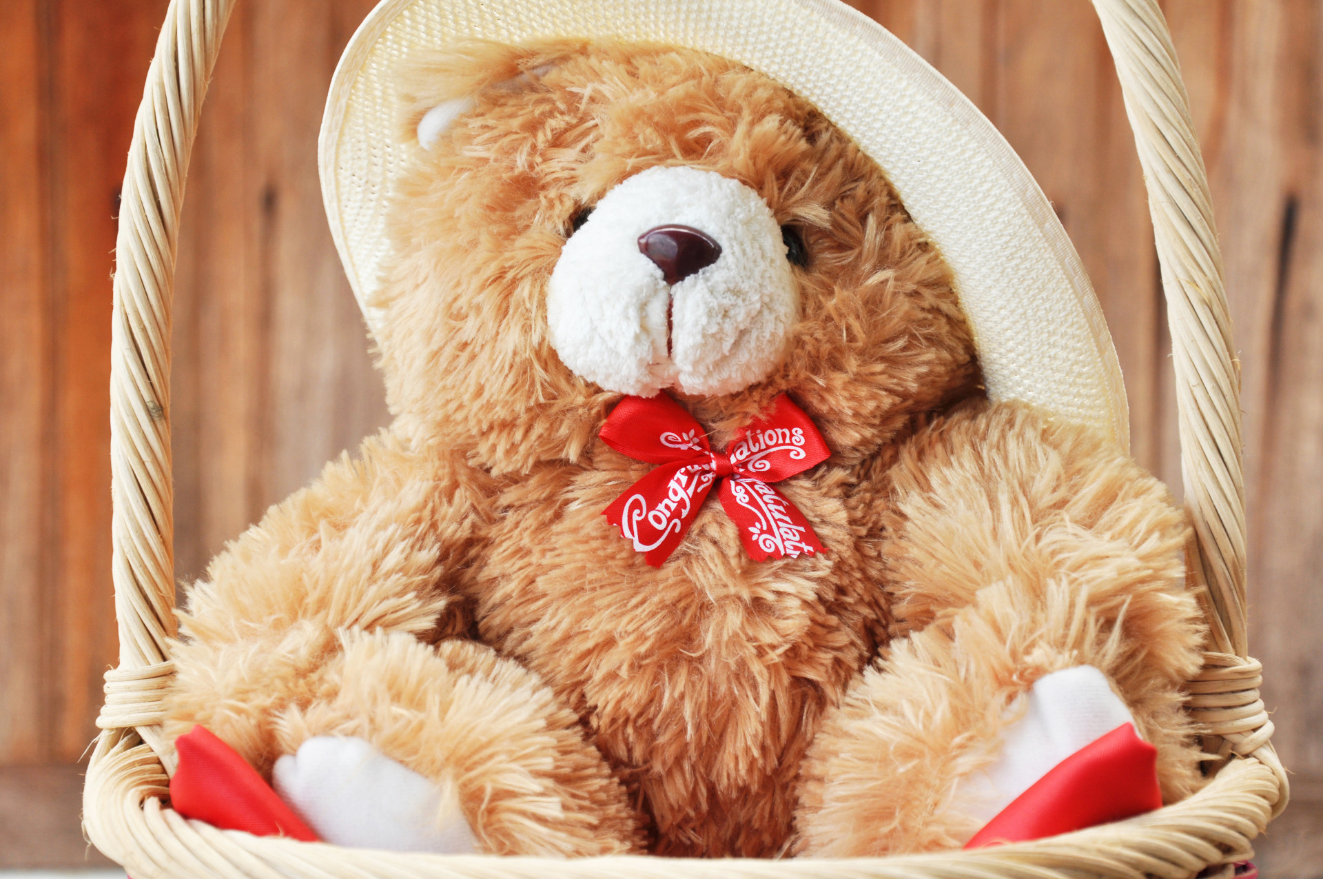 teddy bear wallpaper hd,teddy bear,stuffed toy,toy,plush,love