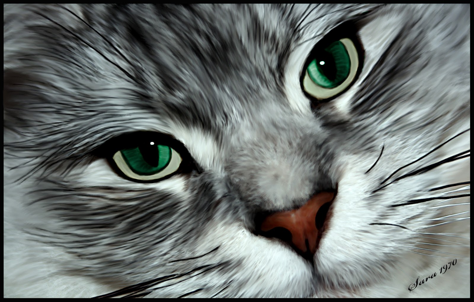 cat desktop wallpaper,cat,whiskers,small to medium sized cats,felidae,green