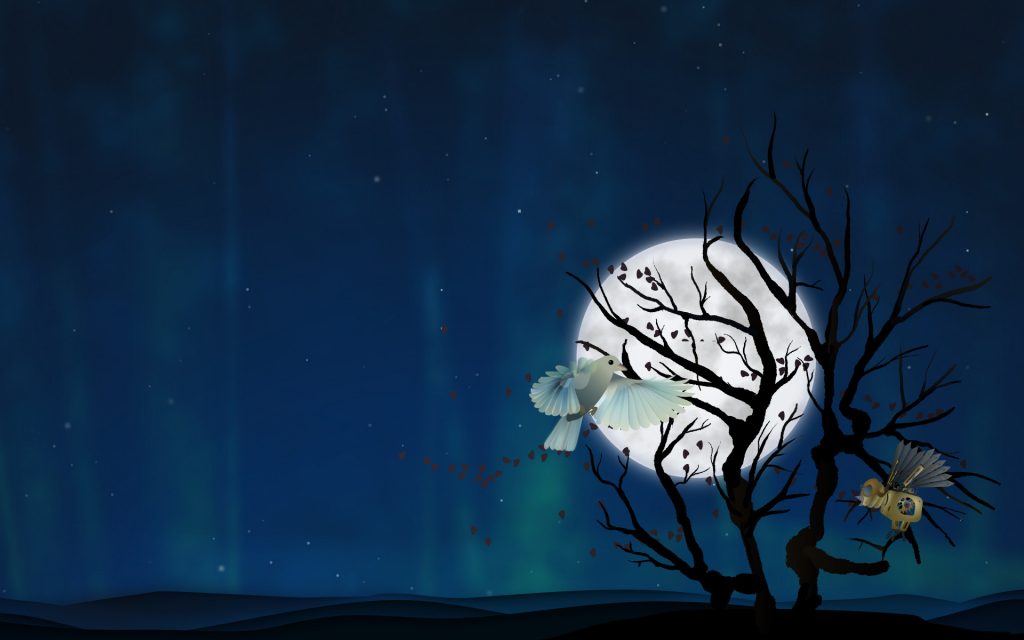 gnome wallpaper,blue,light,sky,moonlight,illustration