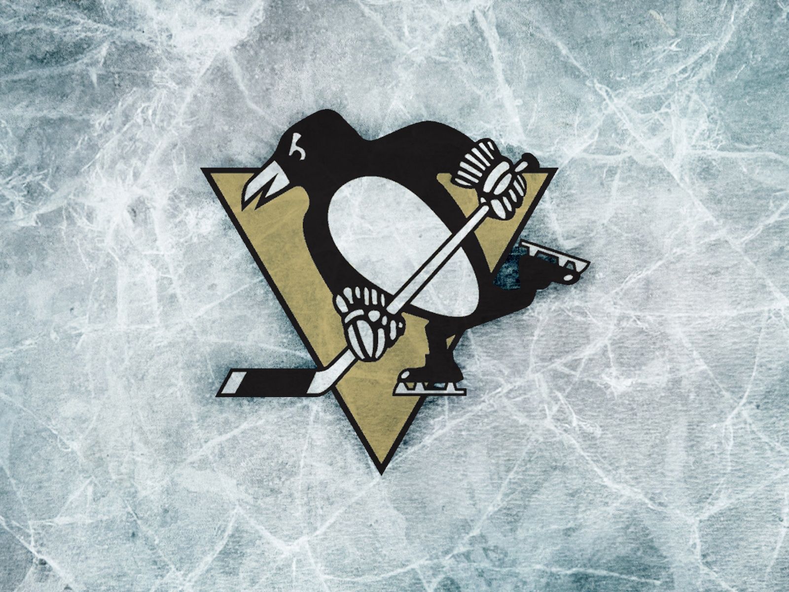 800 E Ohio St, Pittsburgh, PA 15212