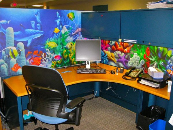 cubicle wallpaper,interior design,office,room,furniture,conference hall