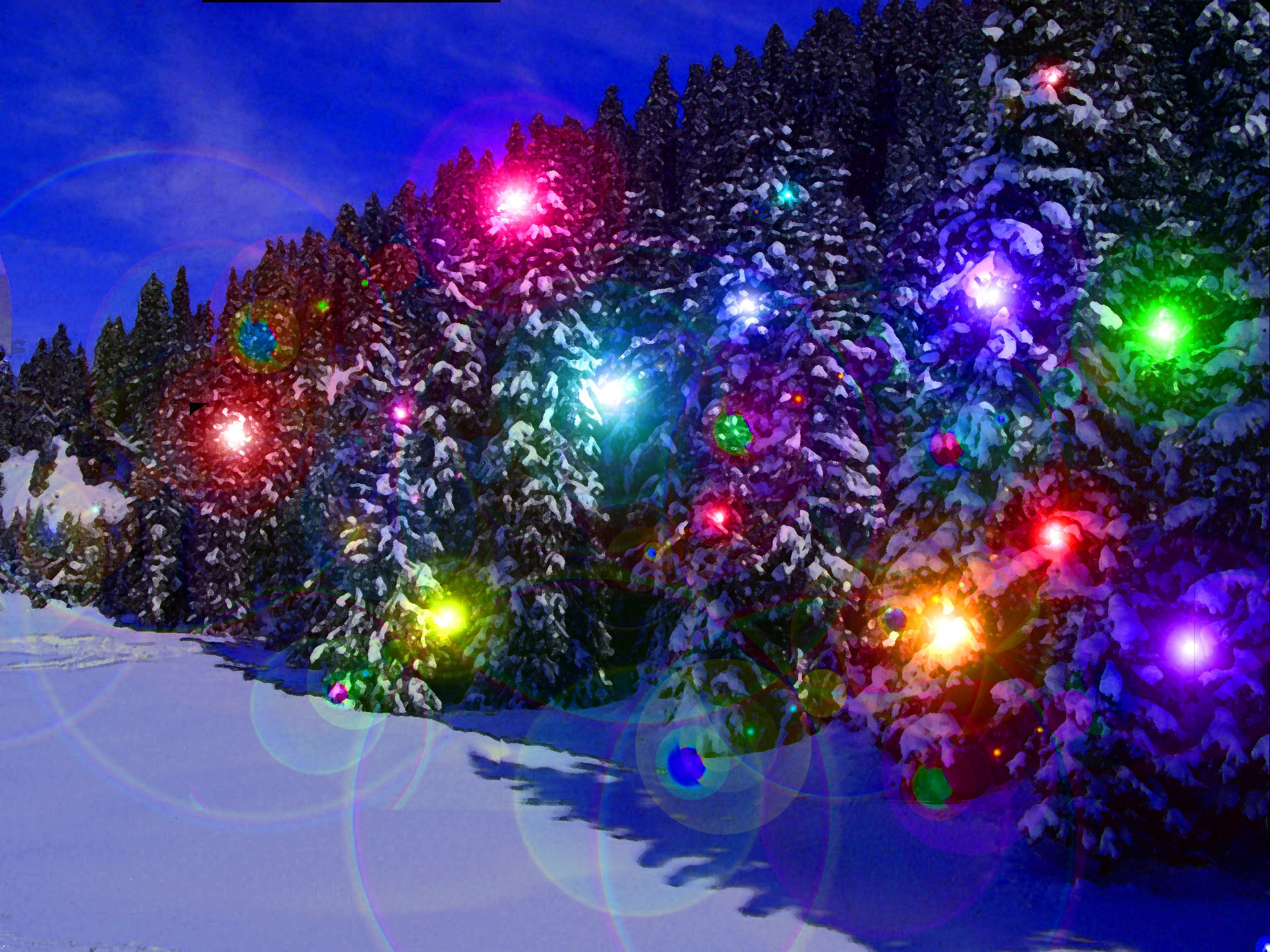 christmas lights wallpaper,light,blue,christmas decoration,christmas tree,tree