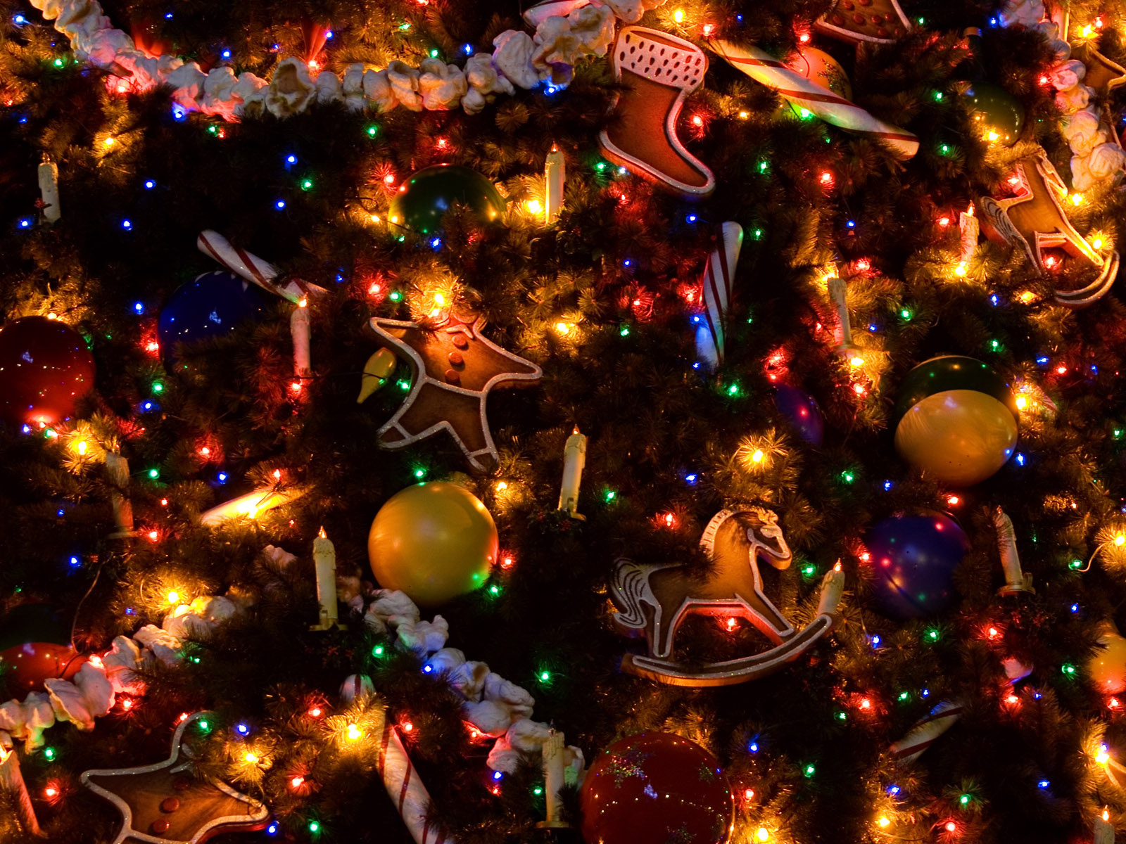 fond d'écran de lumières de noël,décoration de noël,sapin de noël,noël,décoration de noël,arbre