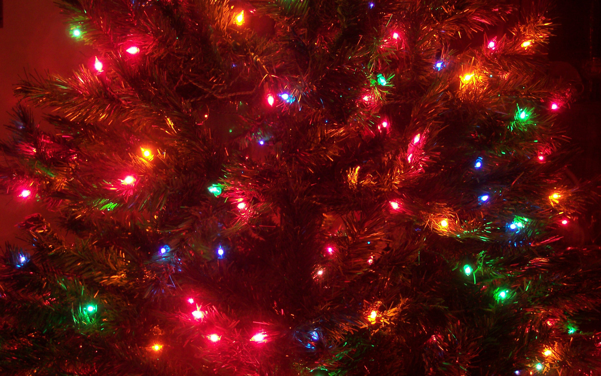 fondo de pantalla de luces de navidad,decoración navideña,árbol de navidad,decoración navideña,ligero,luces de navidad
