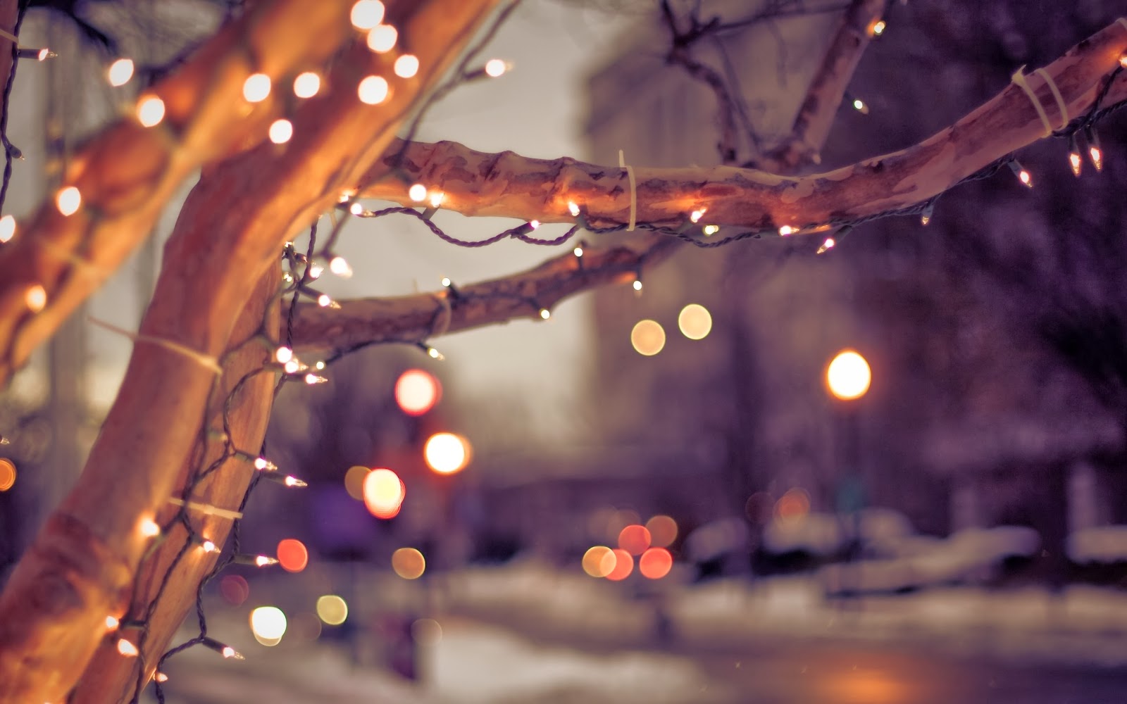 carta da parati delle luci di natale,albero,leggero,illuminazione,notte,cielo