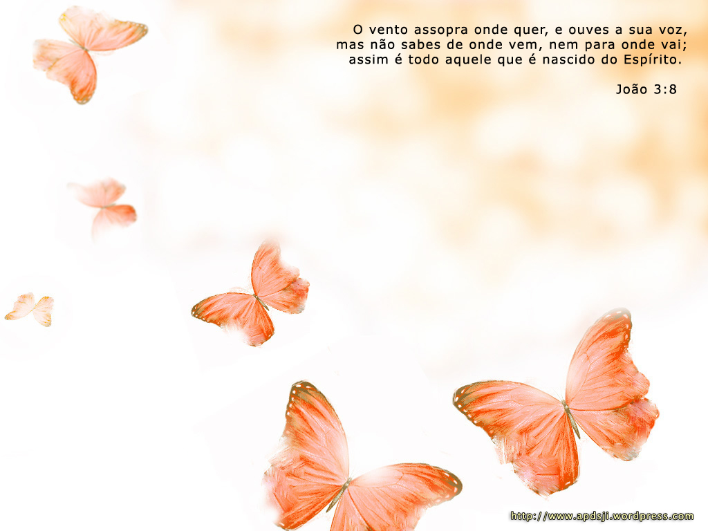 wallpaper feminino,butterfly,text,leaf,orange,organism