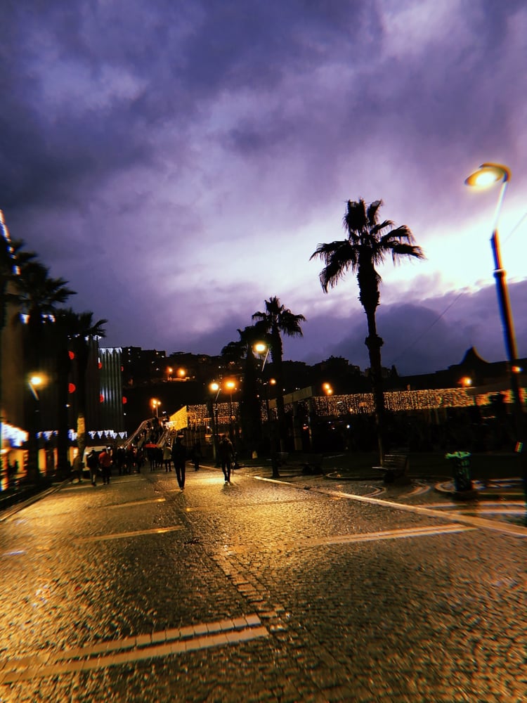 wallpaper hantu bergerak untuk hp,sky,street light,night,lighting,palm tree