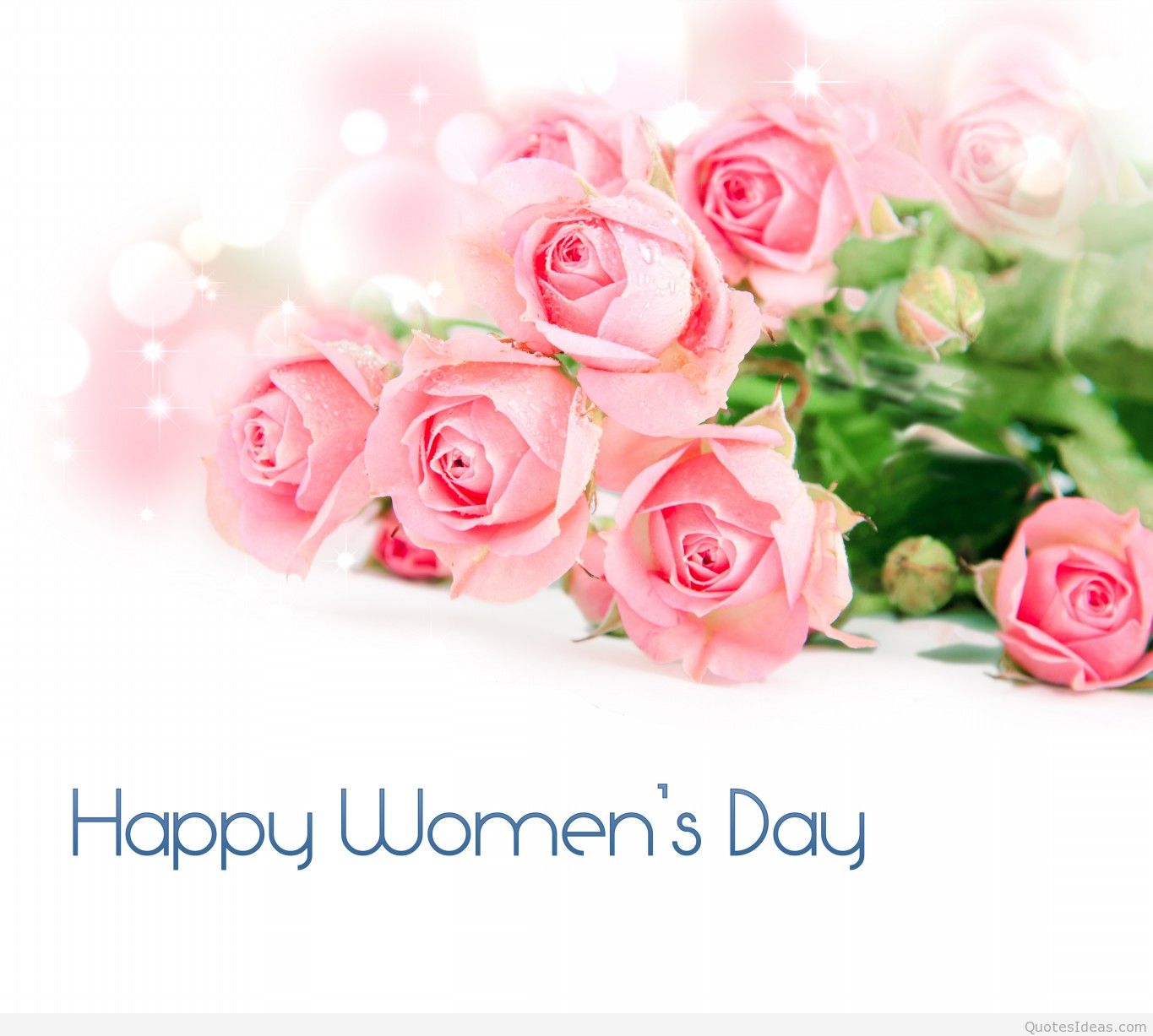 women's day wallpaper,pink,garden roses,flower,rose,font
