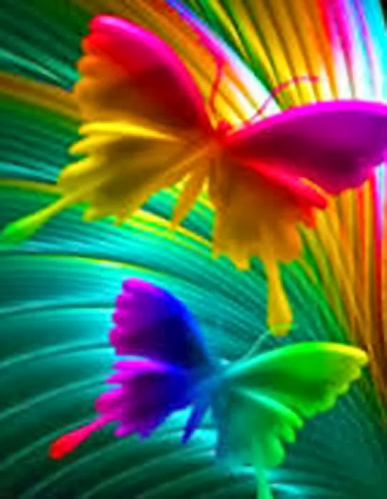 Qmobile Wallpapers Macro Photography WallpaperUse