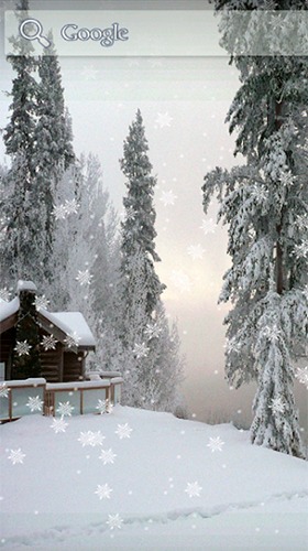qmobile 벽지,눈,겨울,나무,동결,서리