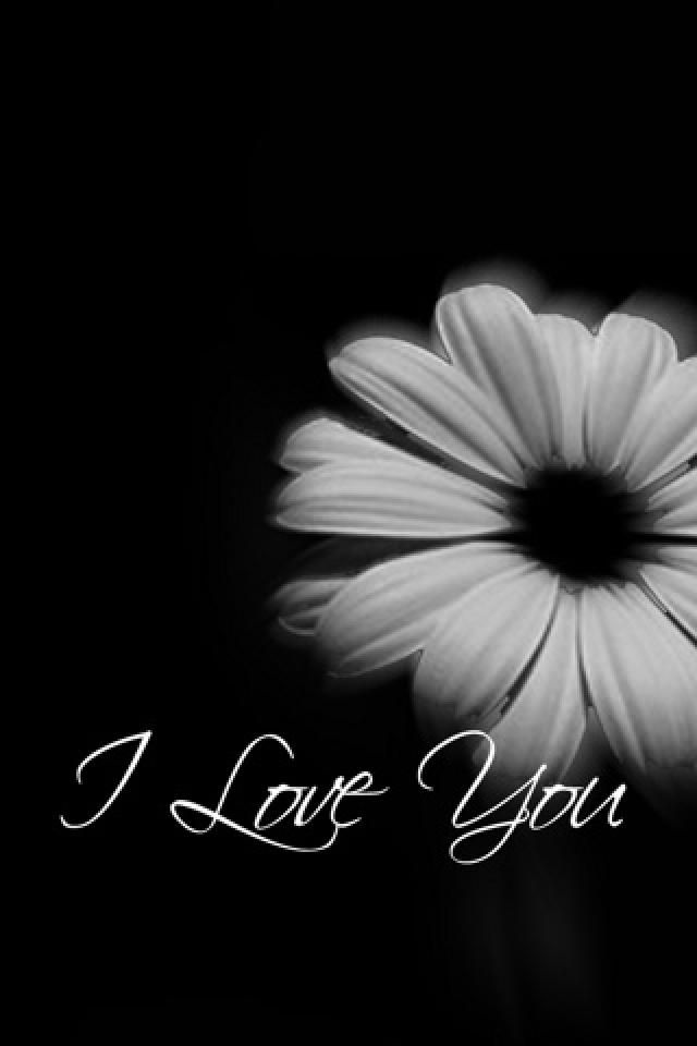 i love you wallpaper hd for mobile,black,text,black and white,monochrome photography,gerbera