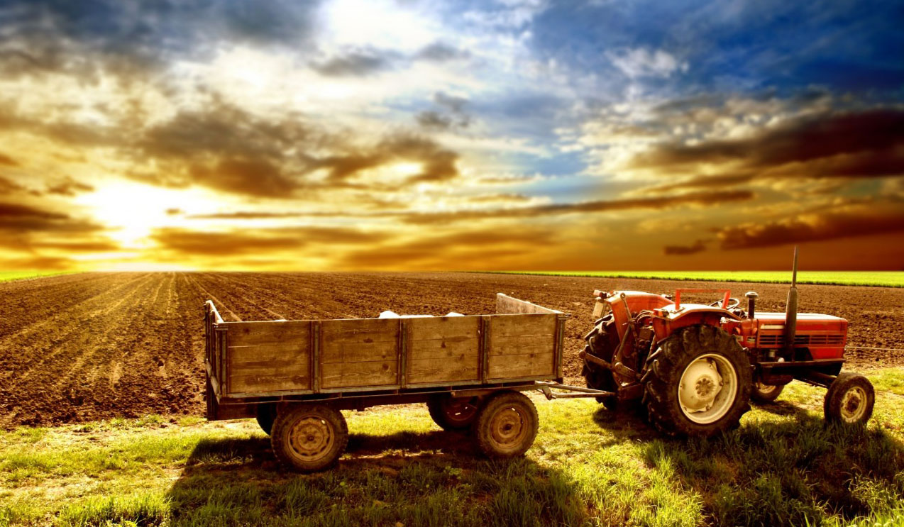 nice wallpaper hd full screen,field,vehicle,sky,transport,agricultural machinery