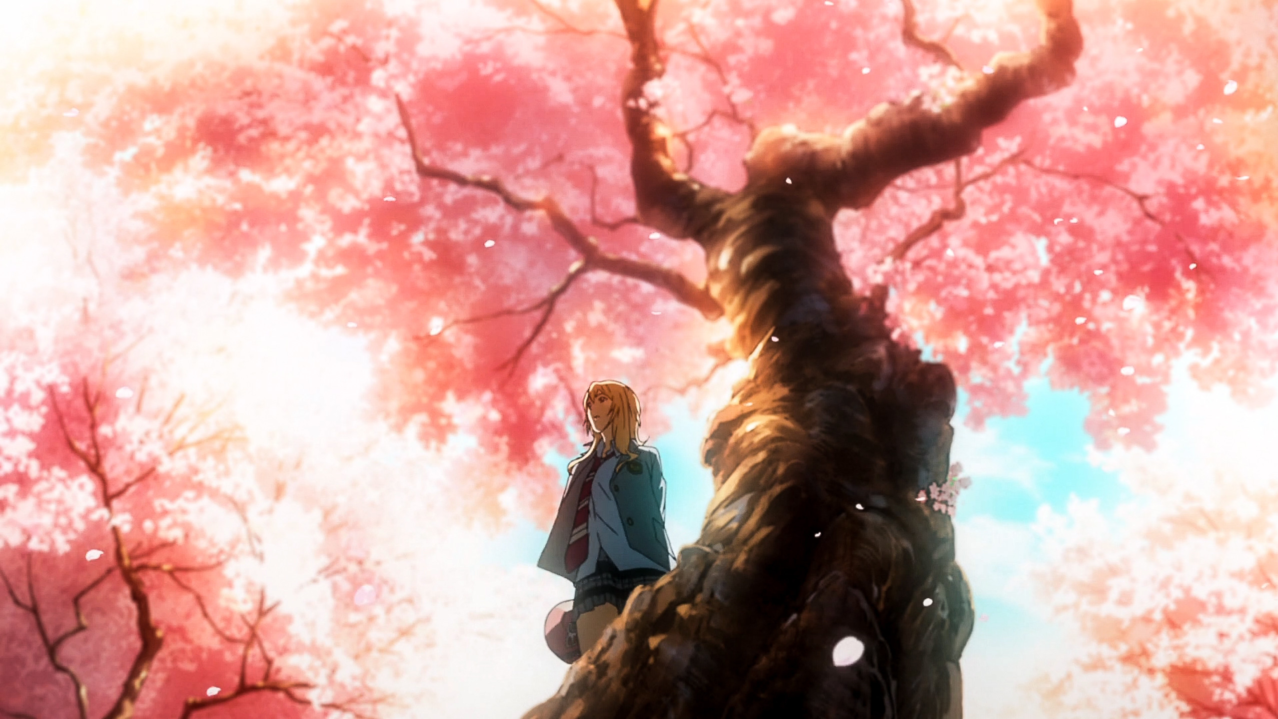 your lie in april wallpaper,cherry blossom,blossom,flower,tree,illustration