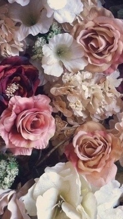 꽃 무늬 벽지 tumblr,정원 장미,꽃,장미,분홍,꽃을 자르다