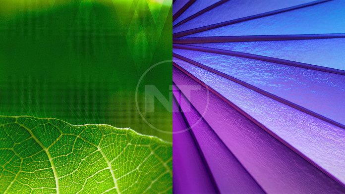 moto g3 wallpapers,green,leaf,purple,violet,light
