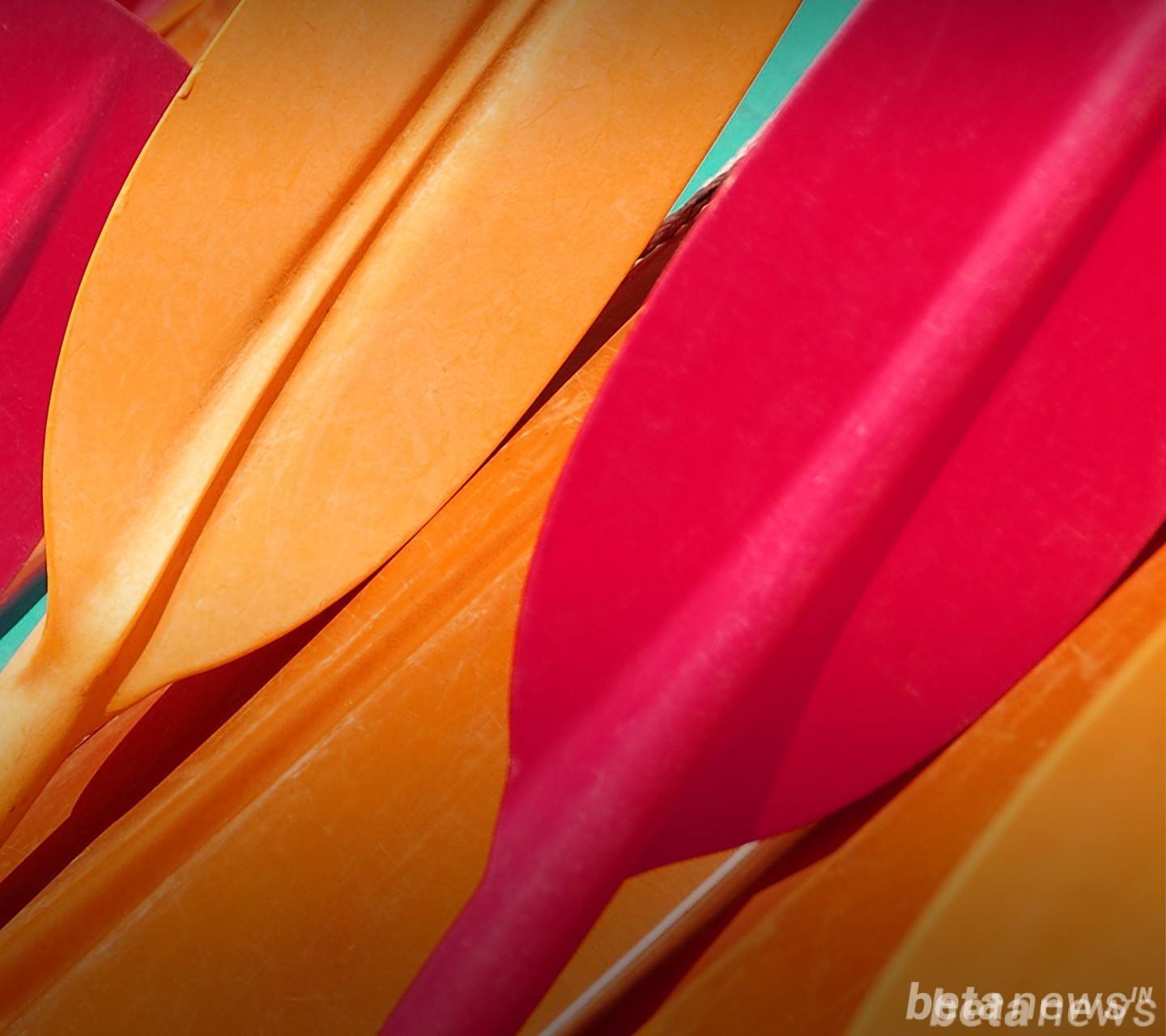 moto g3 wallpapers,orange,close up,red,yellow,leaf