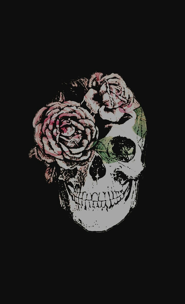 calaveras wallpaper,rose,illustration,flower,plant,rose family
