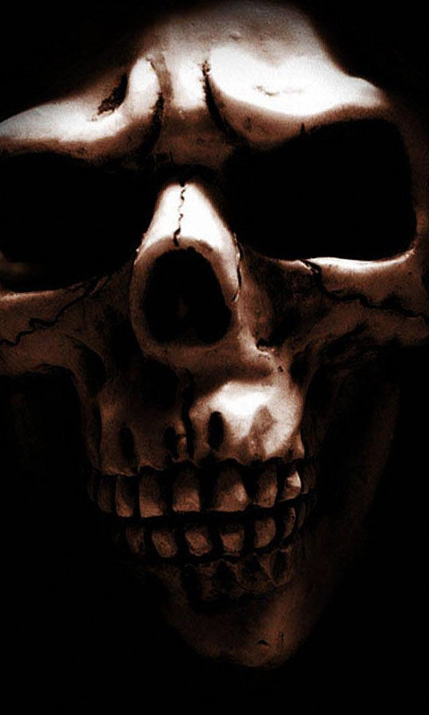 calaveras wallpaper,skull,head,bone,jaw,ghost