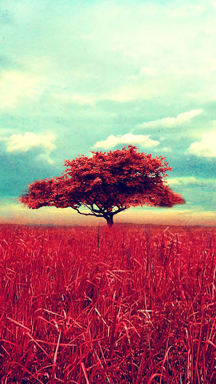 vintage iphone wallpaper,natürliche landschaft,natur,himmel,baum,rot