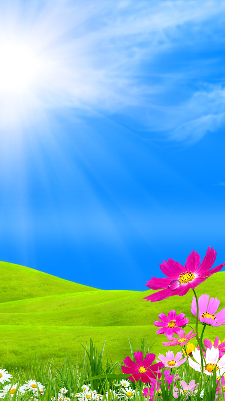 frühling iphone wallpaper,himmel,natürliche landschaft,natur,blau,grün