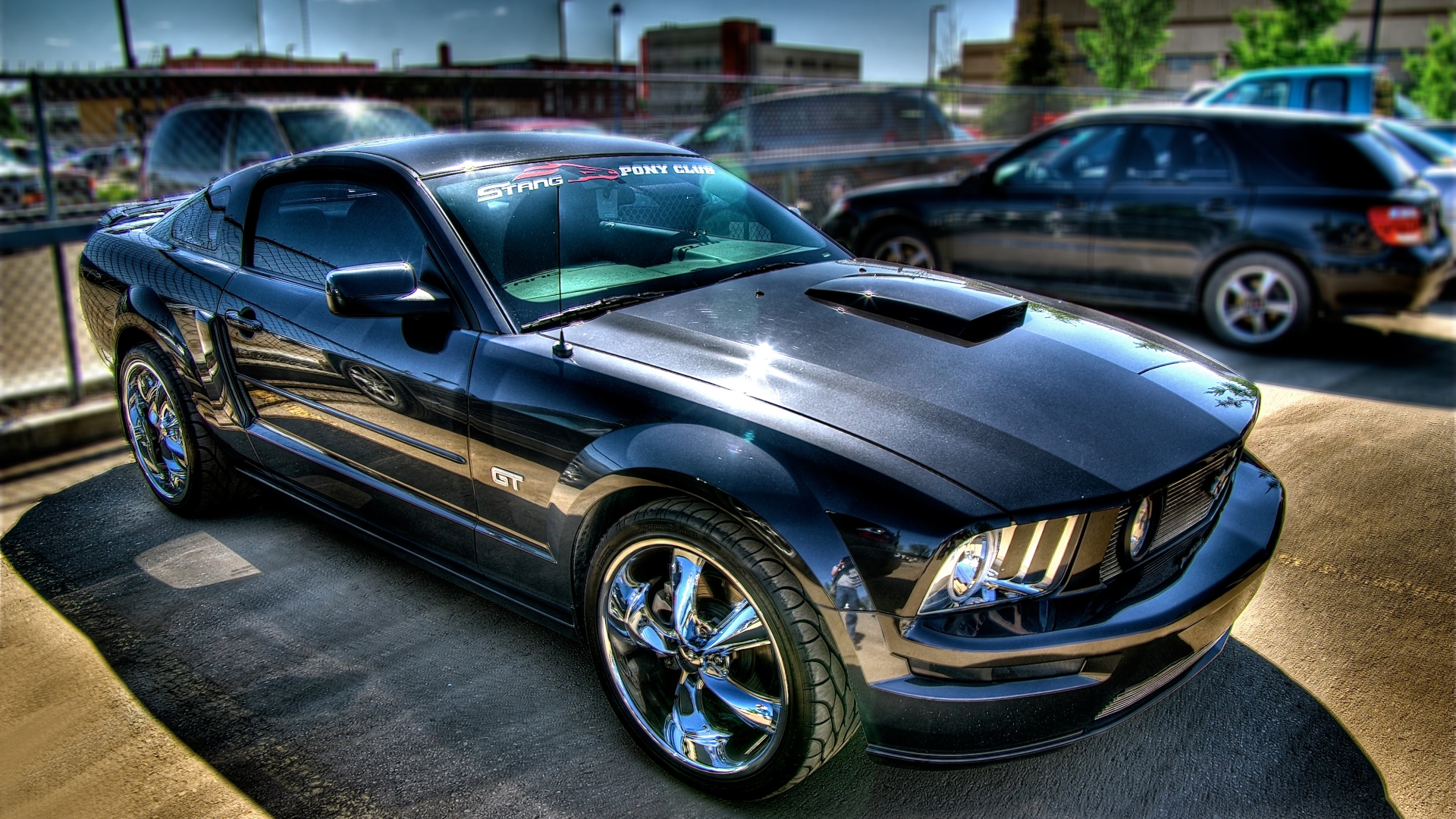 mustang hd wallpaper,landfahrzeug,fahrzeug,auto,kraftfahrzeug,kapuze