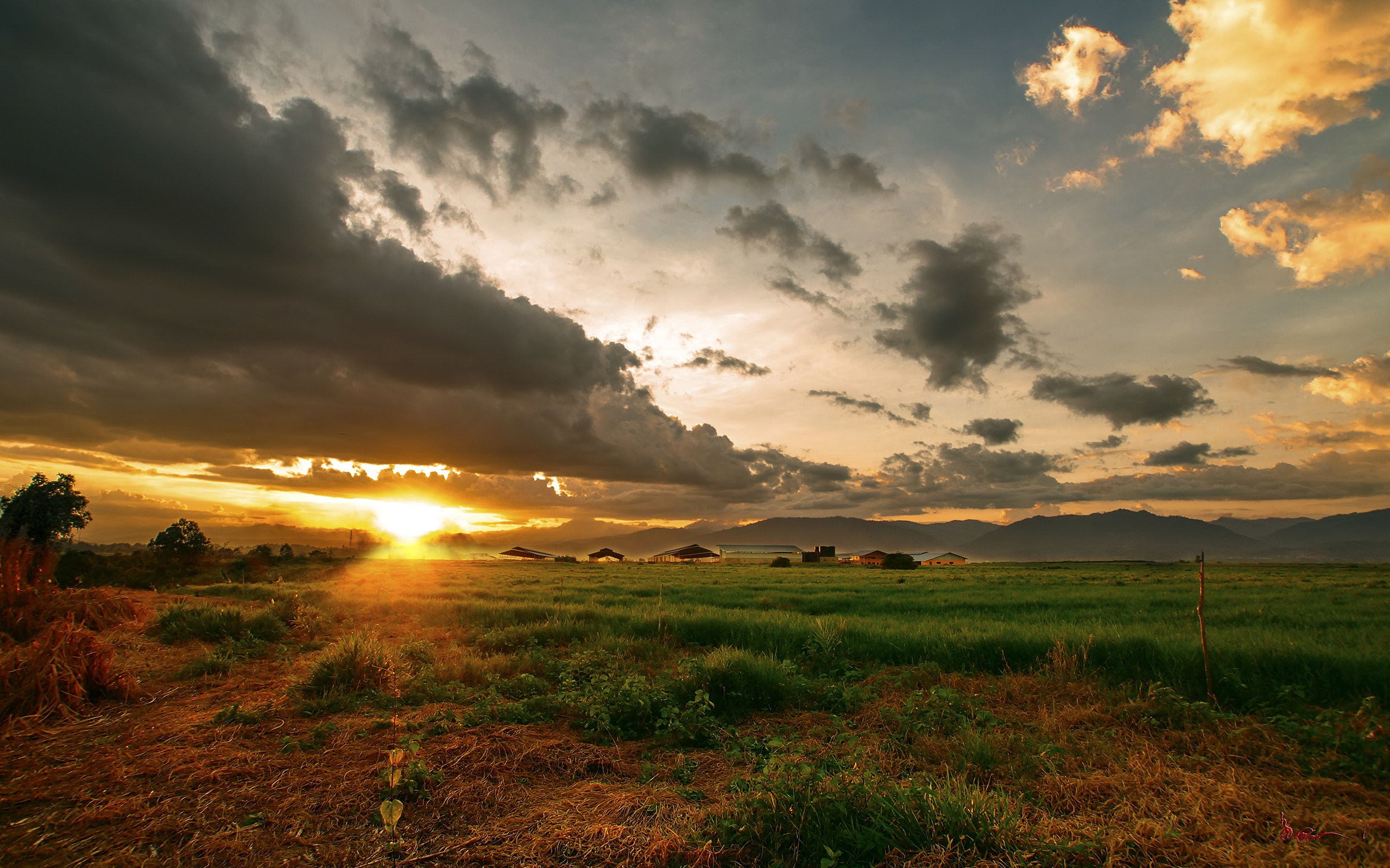 sonnenaufgang tapete hd,himmel,natürliche landschaft,natur,wolke,wiese