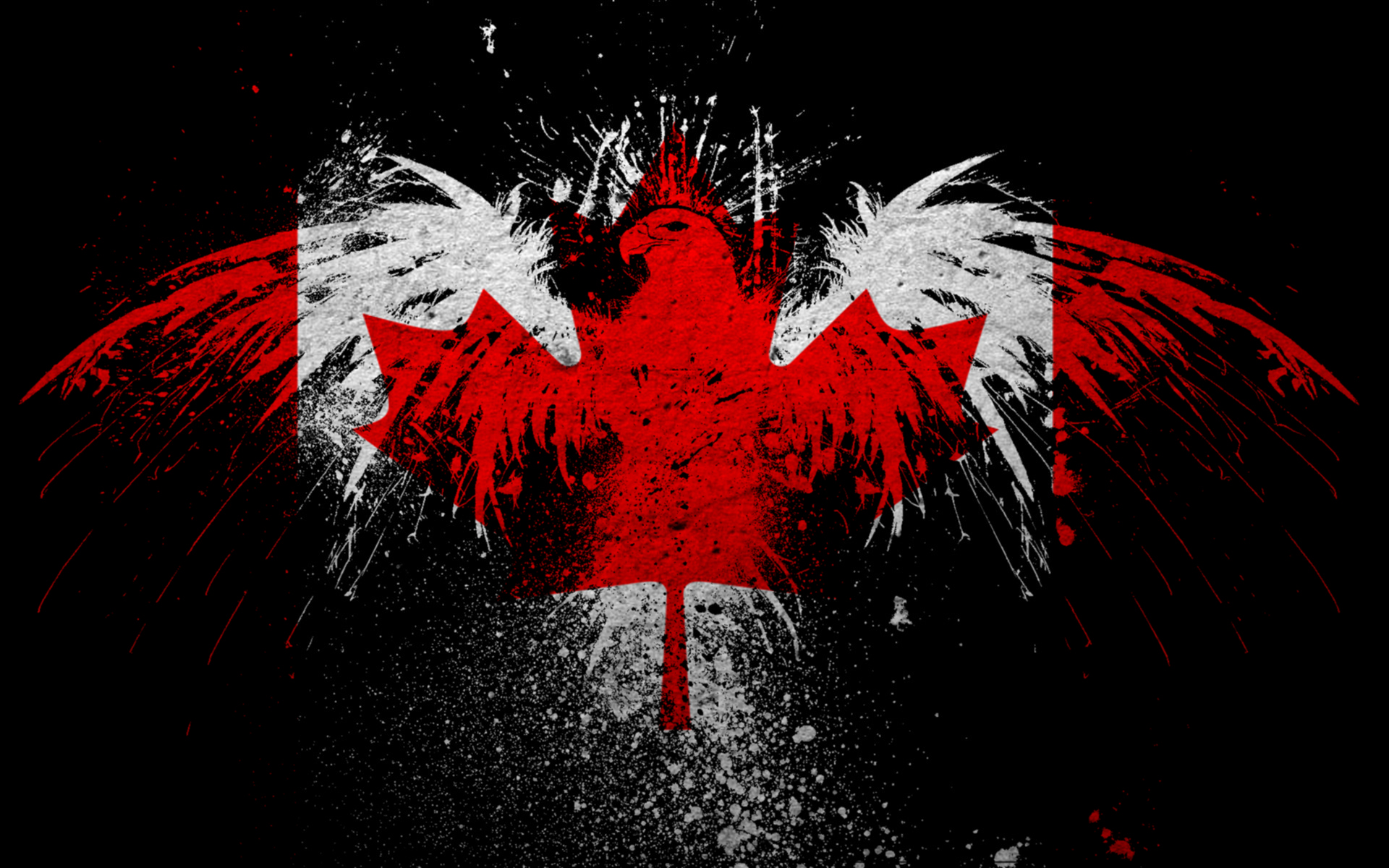 fondo de pantalla de bandera de canadá,rojo,diseño gráfico,gráficos,oscuridad,fuente