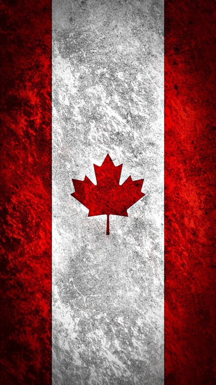 canada flag wallpaper,red,maple leaf,leaf,tree,flag