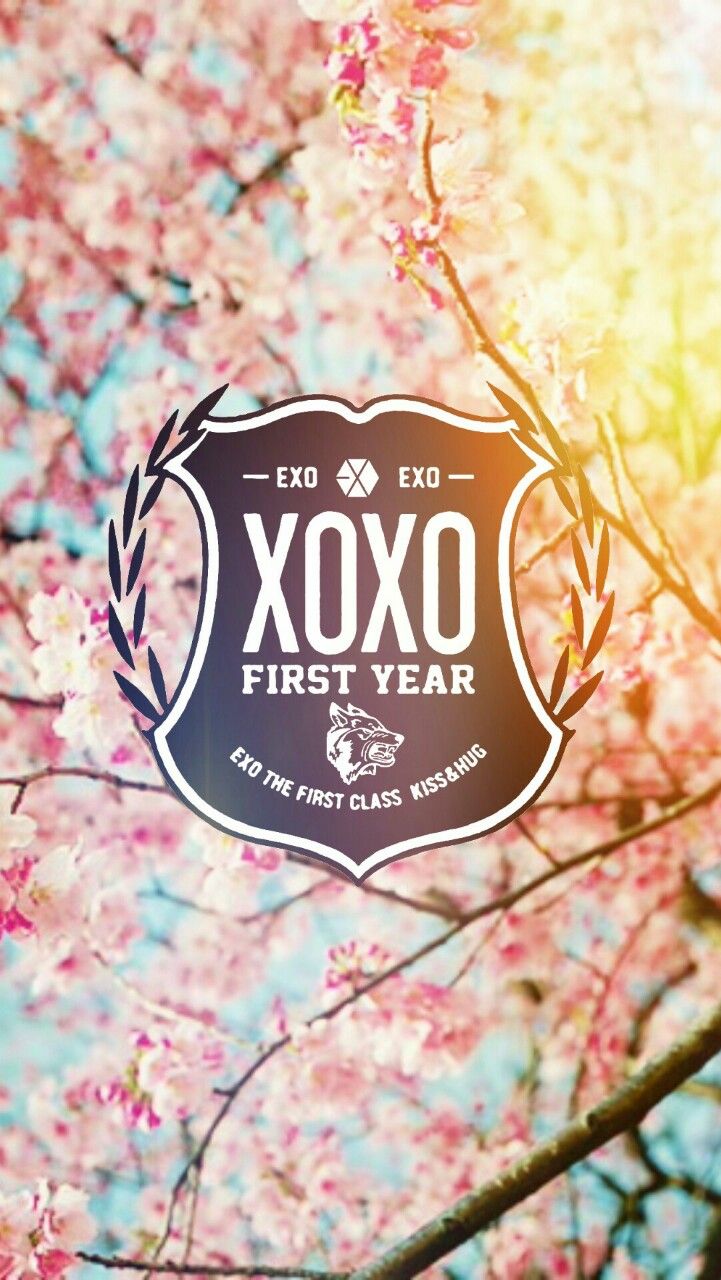 exo wallpaper iphone,rosa,text,frühling,schriftart,blühen