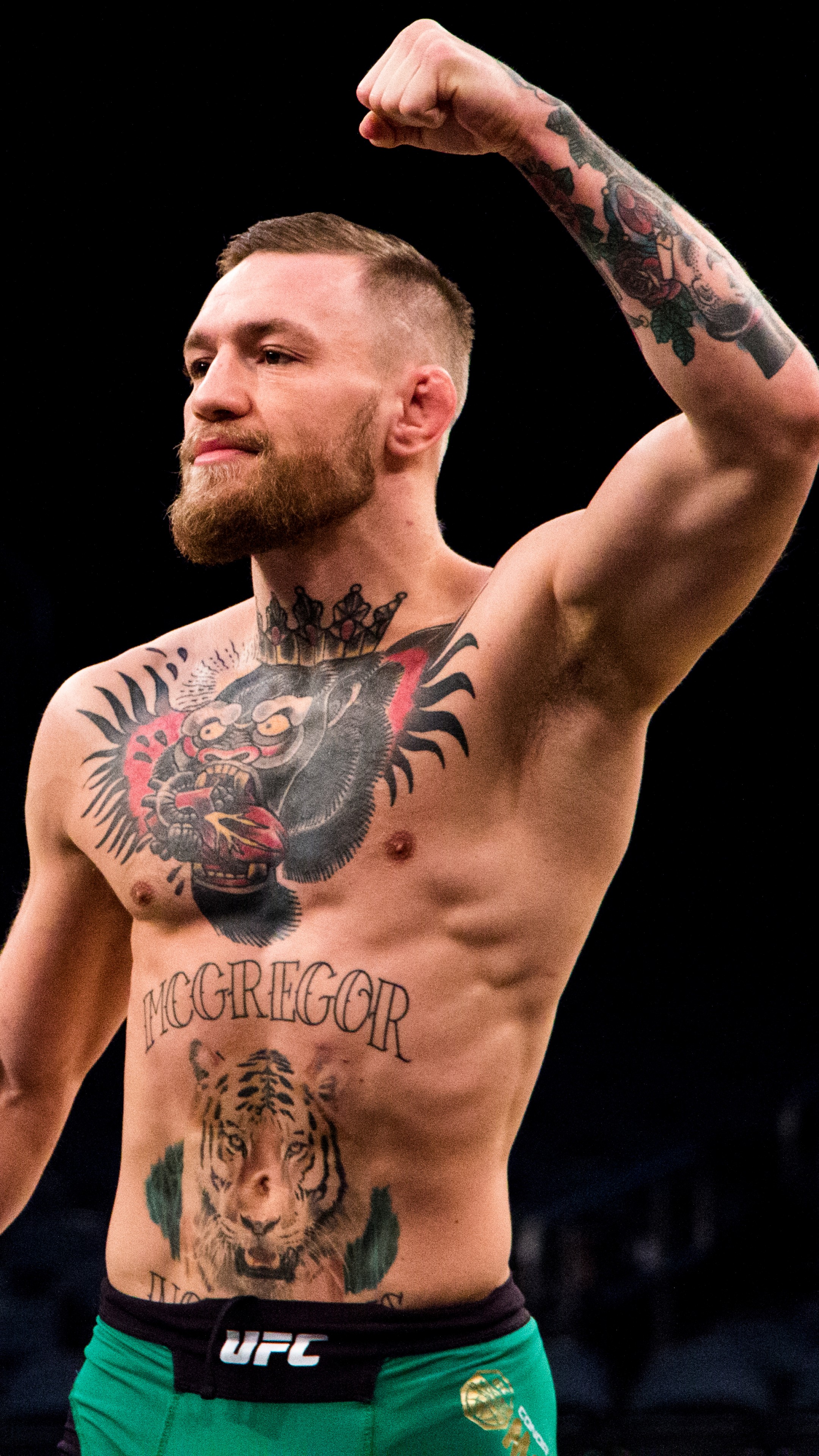 mcgregor tapete,tätowieren,ohne brust,ringer,truhe,professionelles wrestling